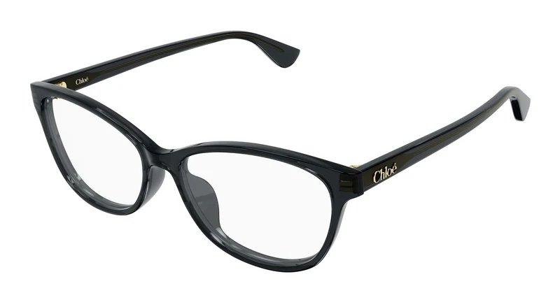 Chloé CH0394OL 001 55