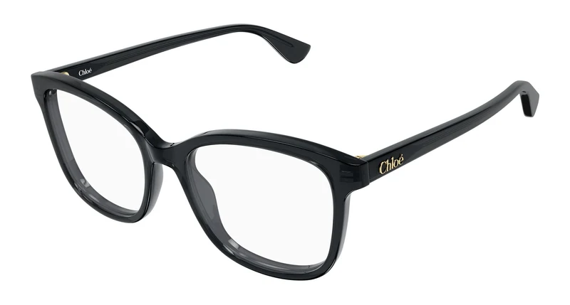 Chloé CH0393O 001 54
