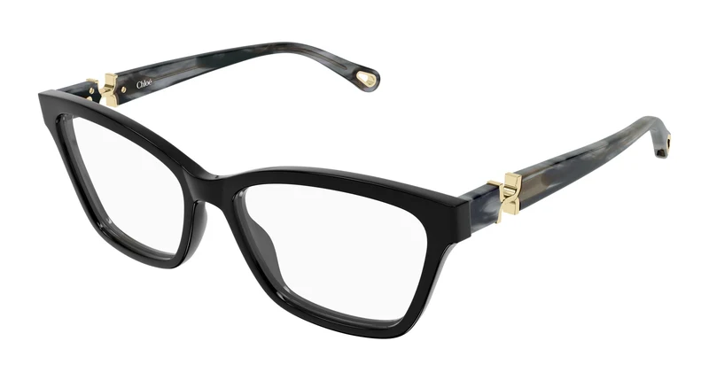 Chloé CH0412O 001 54