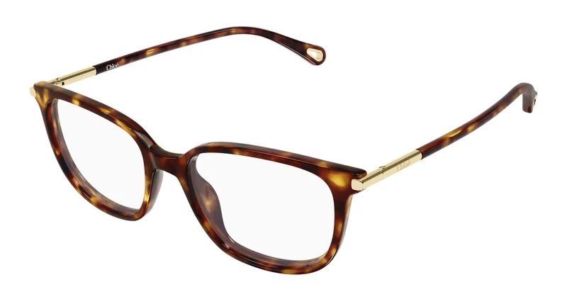 Chloé CH0400O 002 53