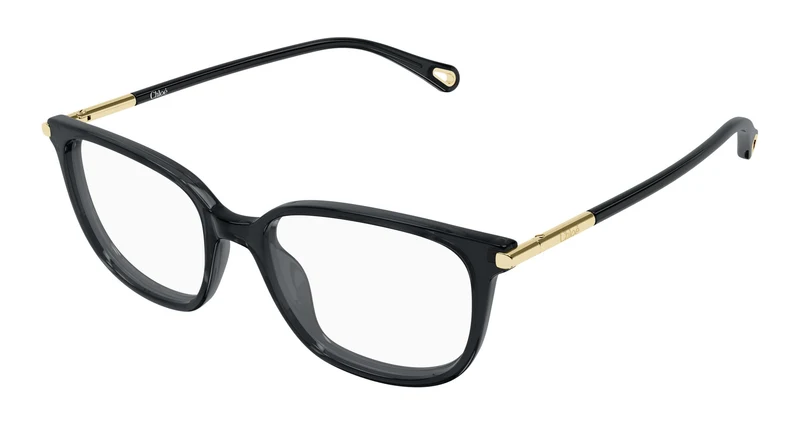 Chloé CH0400O 001 53