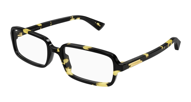 Bottega Veneta BV1500O 002 54