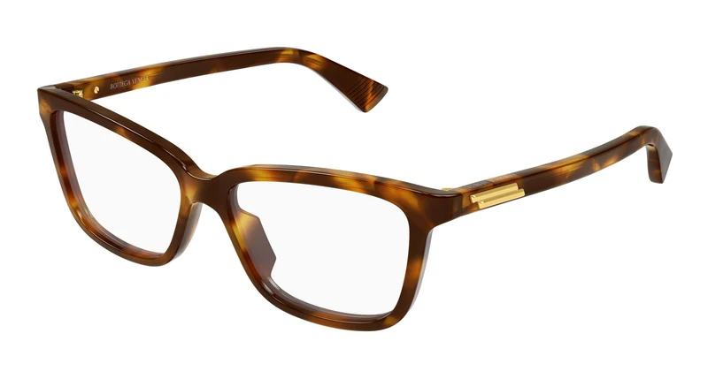 Bottega Veneta BV1499O 002 52
