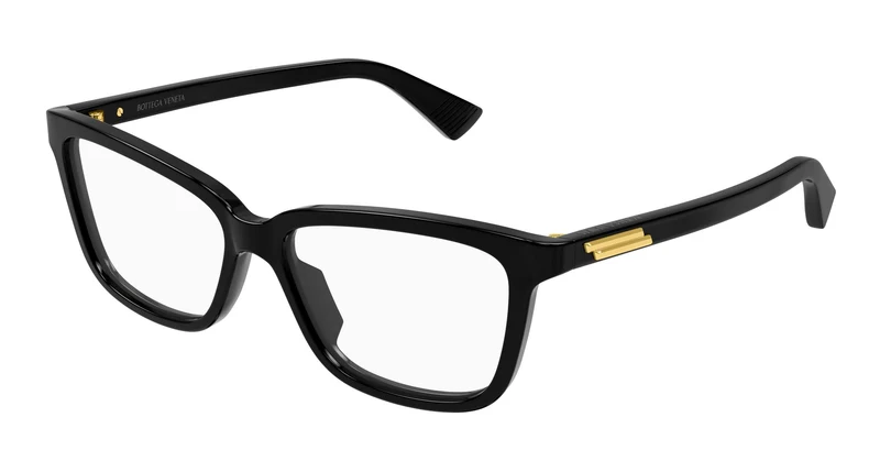 Bottega Veneta BV1499O 001 52