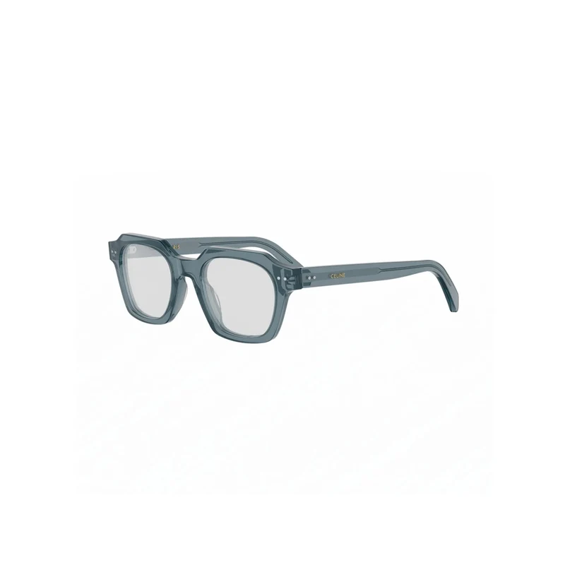 CELINE THIN CL50128I 084 49
