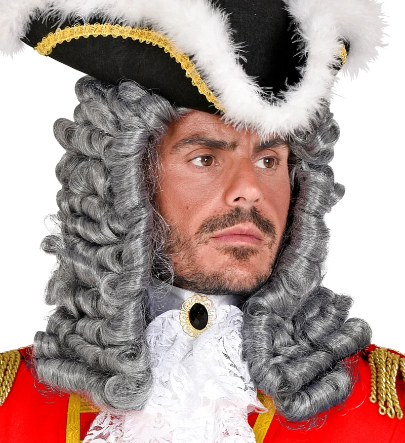 Rechter of piraten pruik grijs