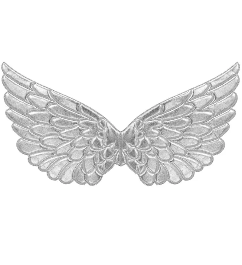 Vleugels zilver 57x26 cm