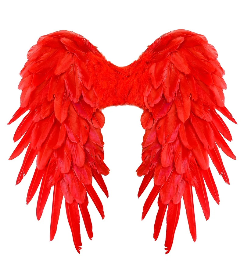Vleugels rood