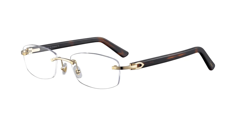 Cartier CT0048O 004 53