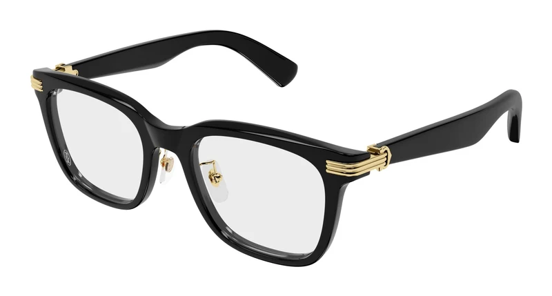Cartier CT0617OA 001 54