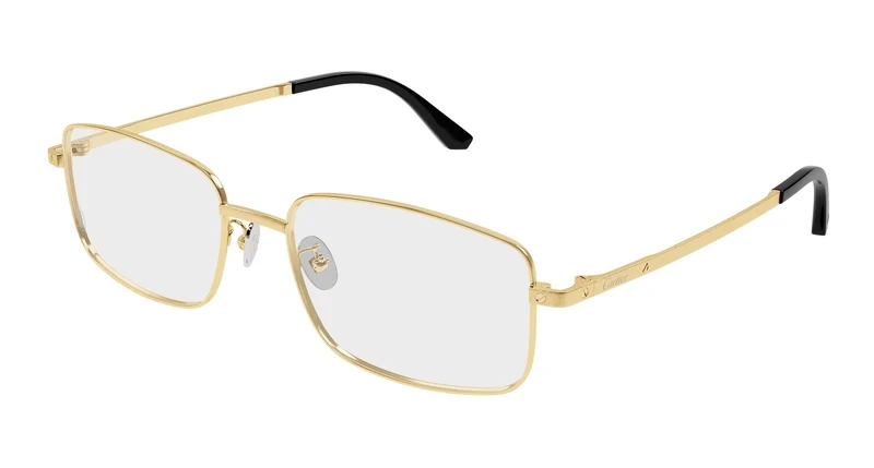 Cartier CT0576OA 001 56