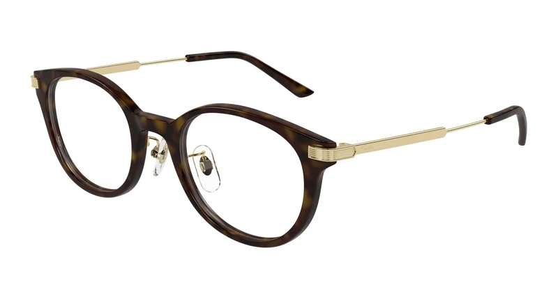 Cartier CT0531OJ 002 49