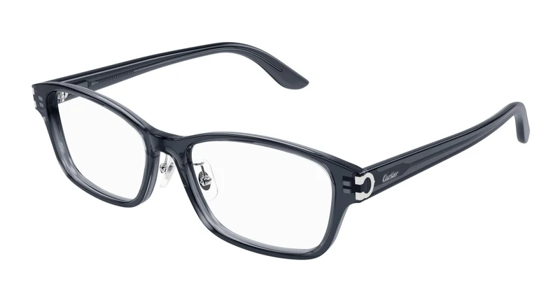 Cartier CT0457OJ 002 55