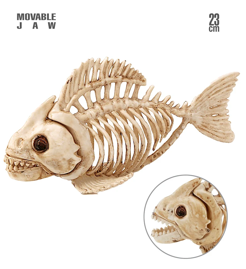 Vissen skelet