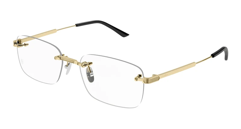 Cartier CT0349O 001 55