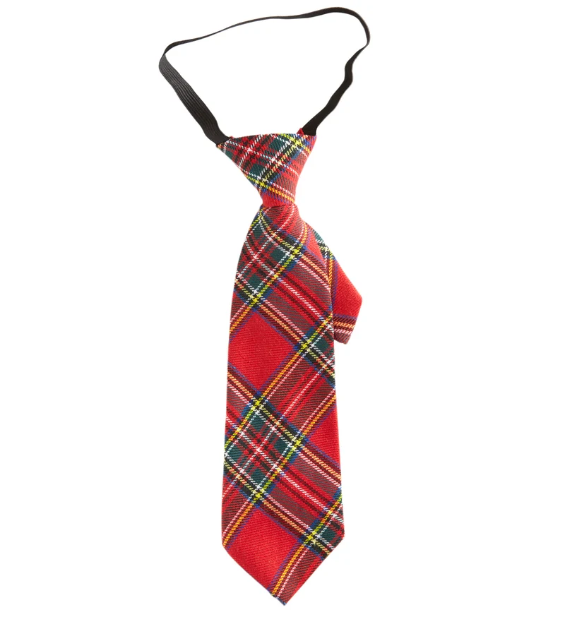 Tartan Print Stropdas Rood