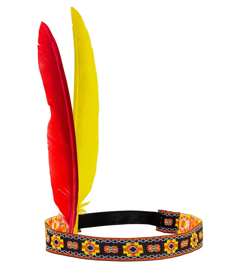 Hoofdband indiaan met 2 veren