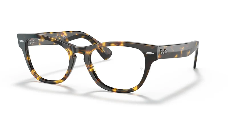 Ray-Ban RX2201V LARAMIE 8116 51