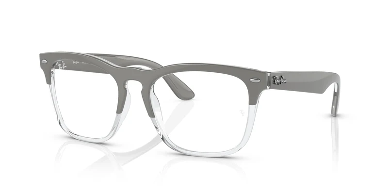 Ray-Ban RX4487V STEVE 8197 51