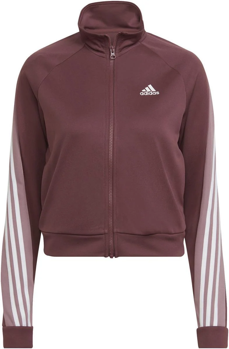 TEAMSPORT TS