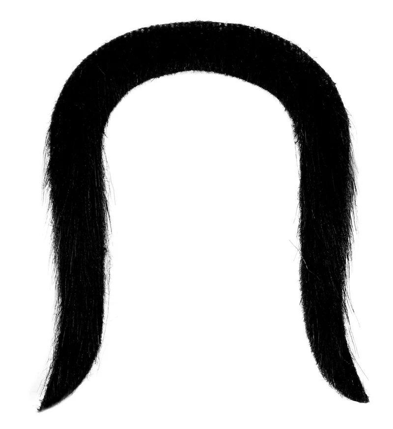 Chinese snor zwart