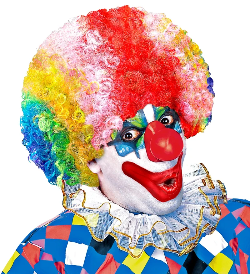 Clownspruik regenboog