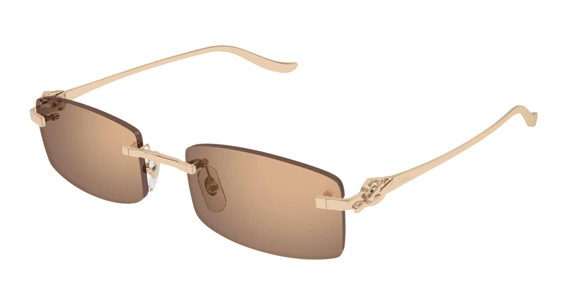 Cartier CT0552S 004 55