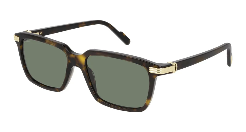 Cartier CT0220S 002 55