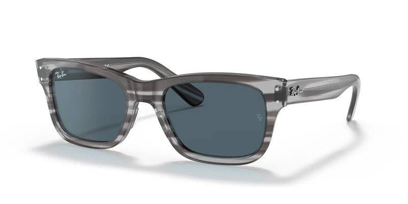 Ray-Ban RB2283 MR BURBANK 134071 55