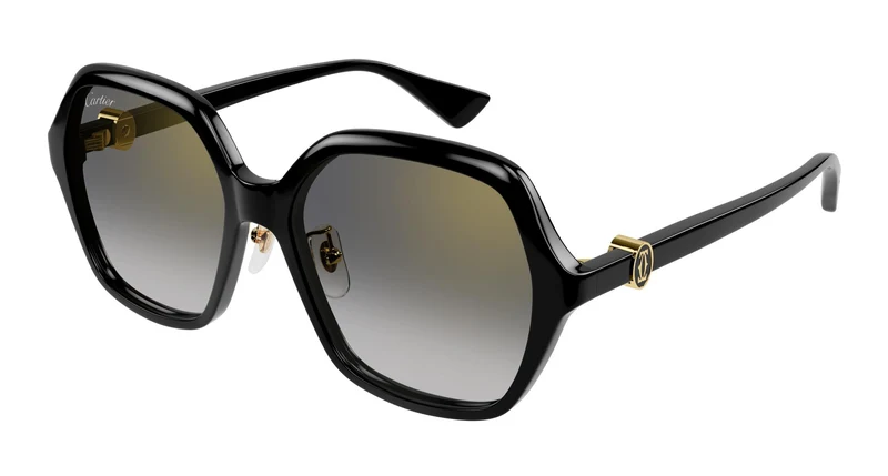 Cartier CT0470SA 001 58