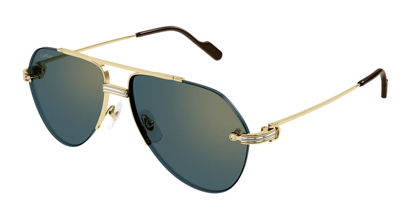Cartier CT0427S 002 58