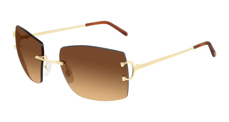 Cartier CT0009RS 001 57