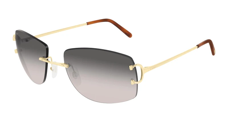 Cartier CT0008RS 001 57