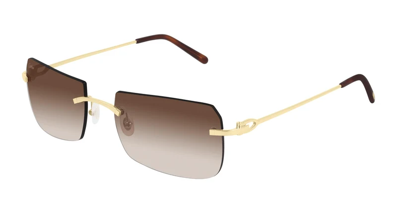 Cartier CT0006RS 001 56