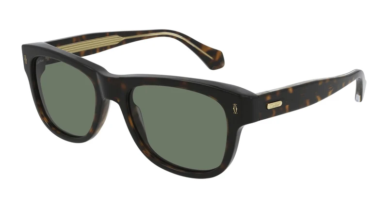 Cartier CT0277S 002 55