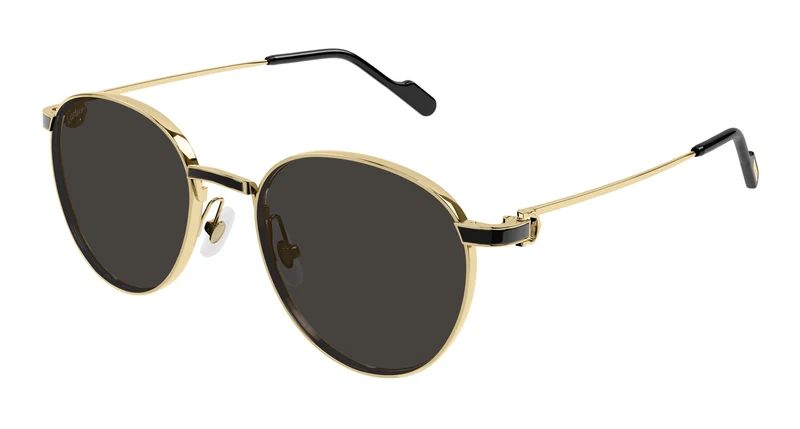 Cartier CT0335S 001 53