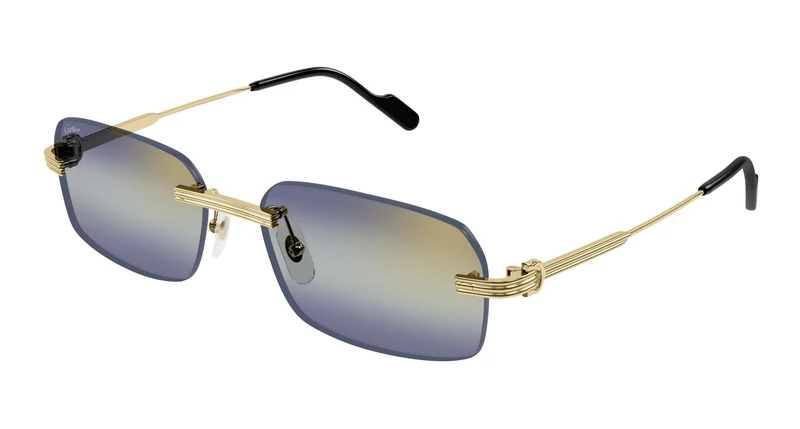 Cartier CT0271S 006 58