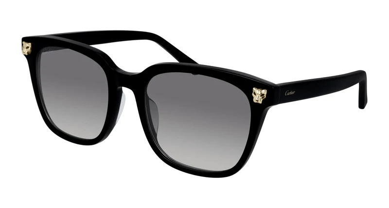 Cartier CT0143SA 001 56