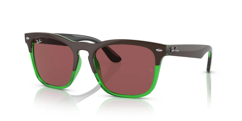 Ray-Ban RB4487 STEVE 663469 54