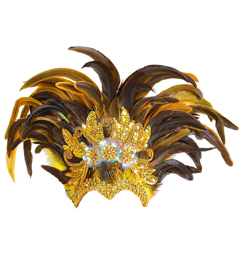 Veren masker goud Venetiaans