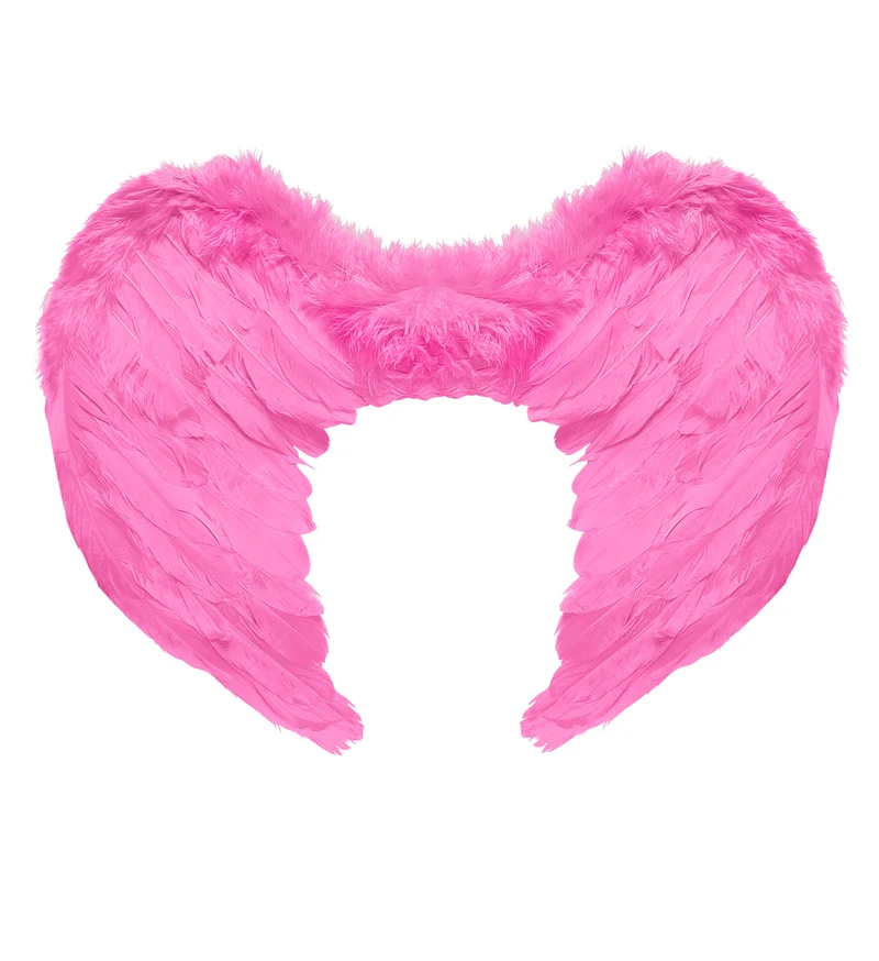 Veren vleugels roze 37x50cm