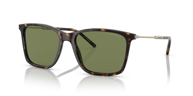 Giorgio Armani AR8176 50262A 57
