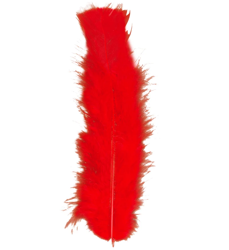 zakje met 50 veertjes rood