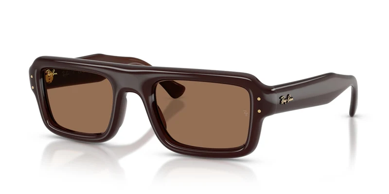 Ray-Ban RB4954 689673 52