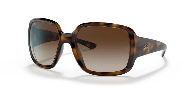 Ray-Ban RB4347 POWDERHORN 710/13 60