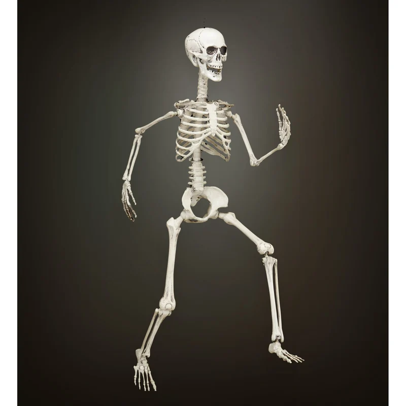 Vorm baar skelet Halloween