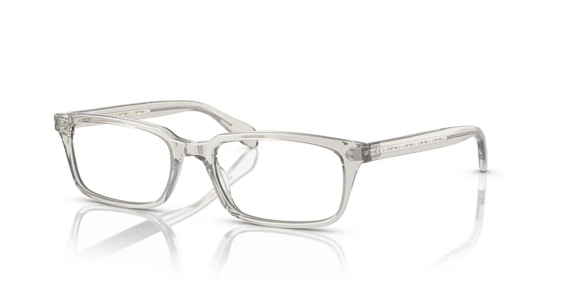 Oliver Peoples OV5102 DENISON 1669 56