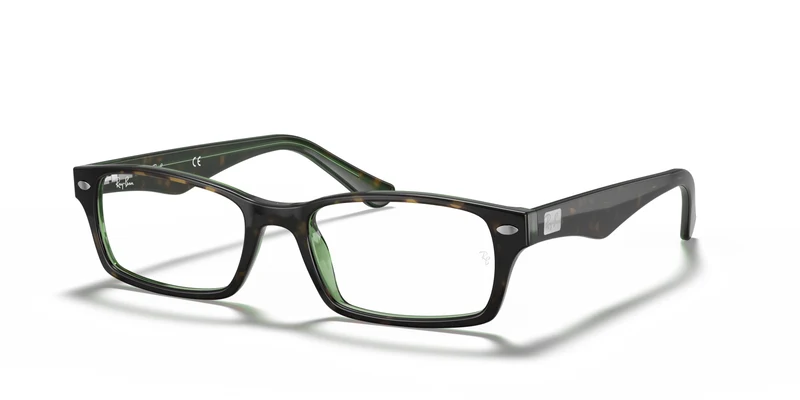 Ray-Ban RX5206 2445 52