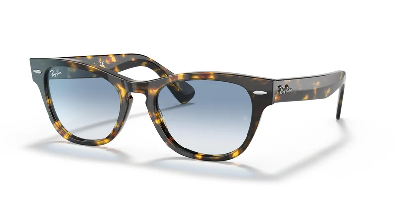 Ray-Ban RB2201 LARAMIE 13323F 54