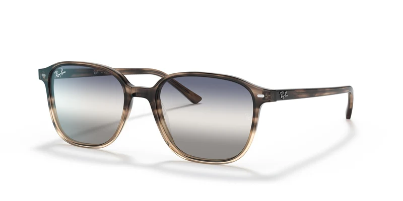 Ray-Ban RB2193 LEONARD 1327GF 53